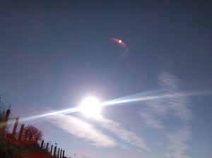 cielo palinuro